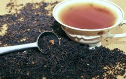 ROOIBOS GREAT TEMPTATION